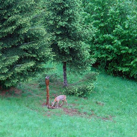 Kod Korita Rooms Crni Lug Bagian luar foto